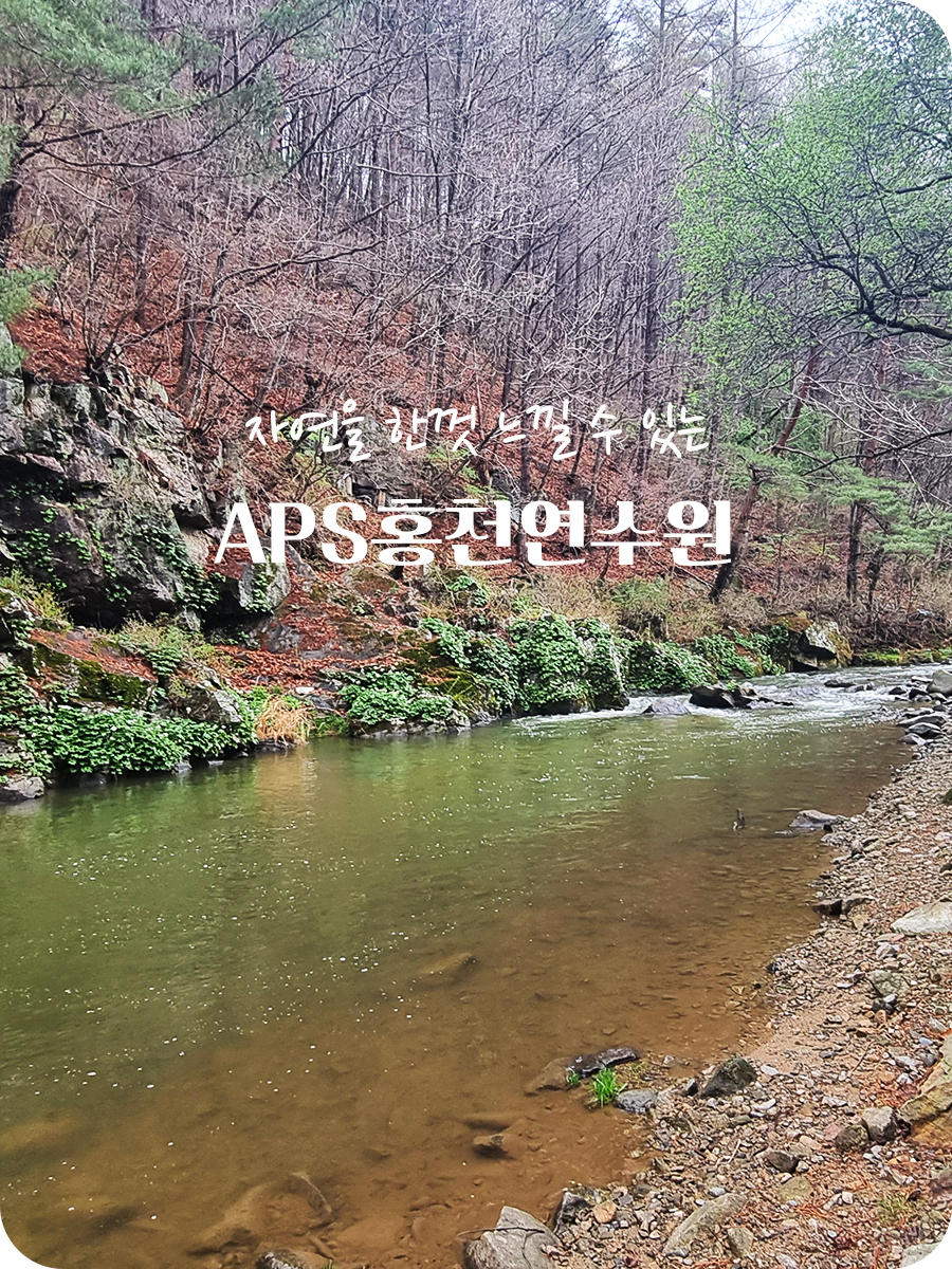 APS홍천연수원 이미지