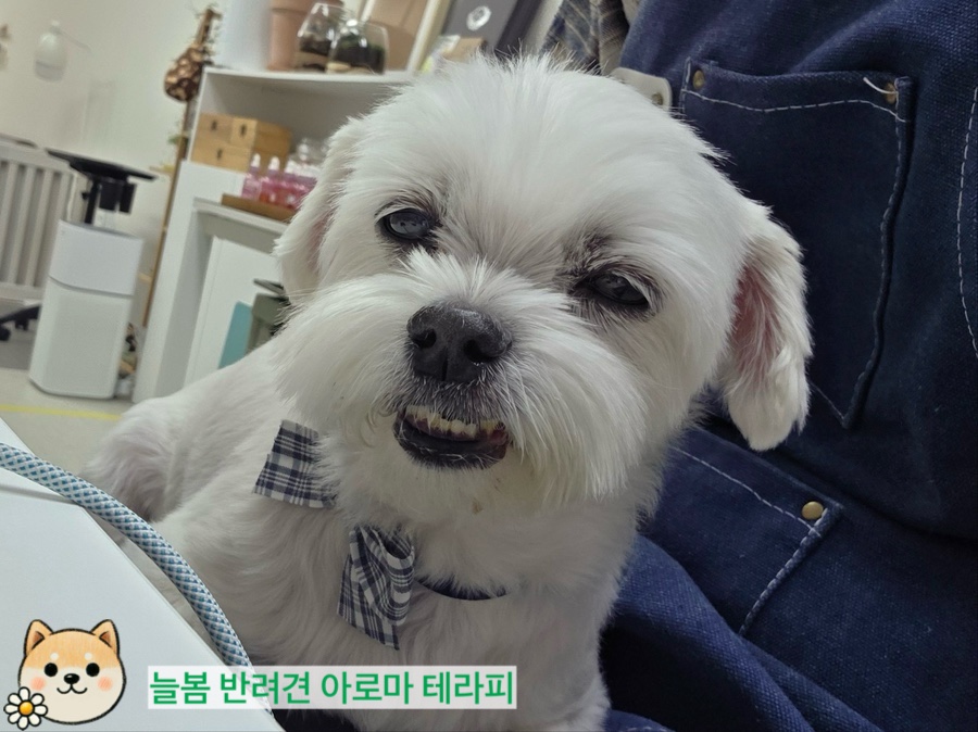 늘봄아로마테라피 이미지