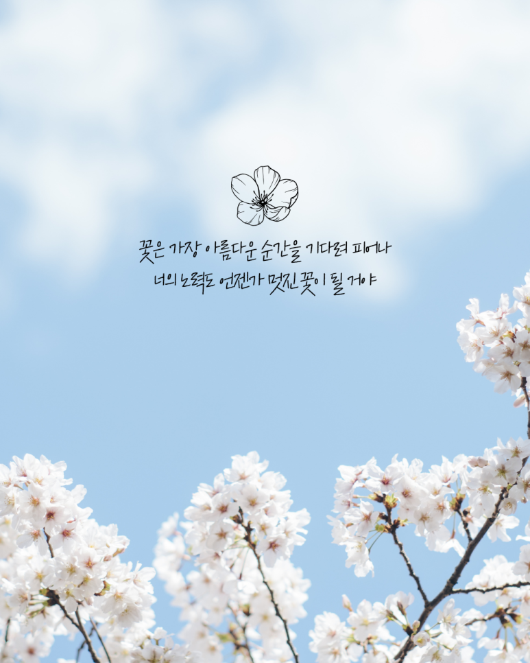글씨공간 이미지