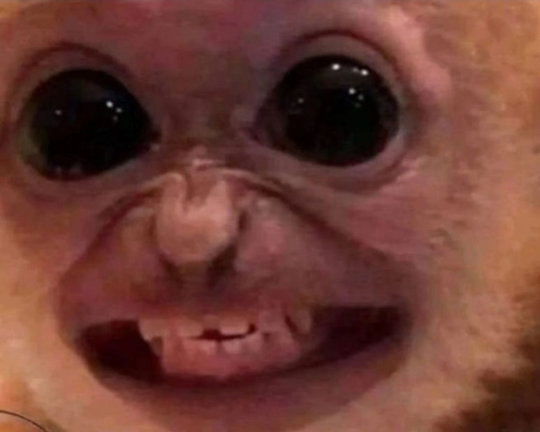 모닝투어 이미지