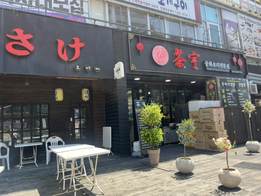 차우중식 이미지