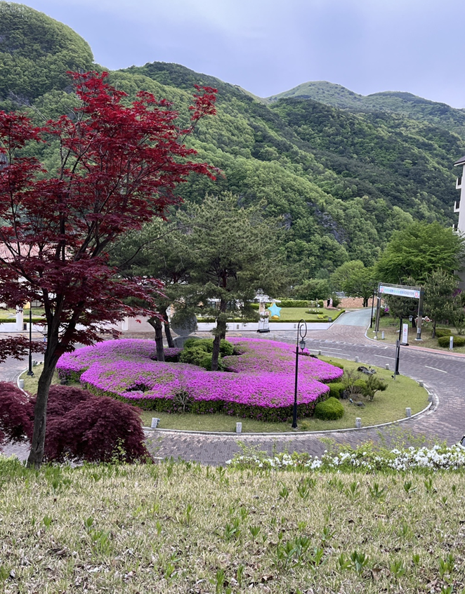 성호다방 이미지