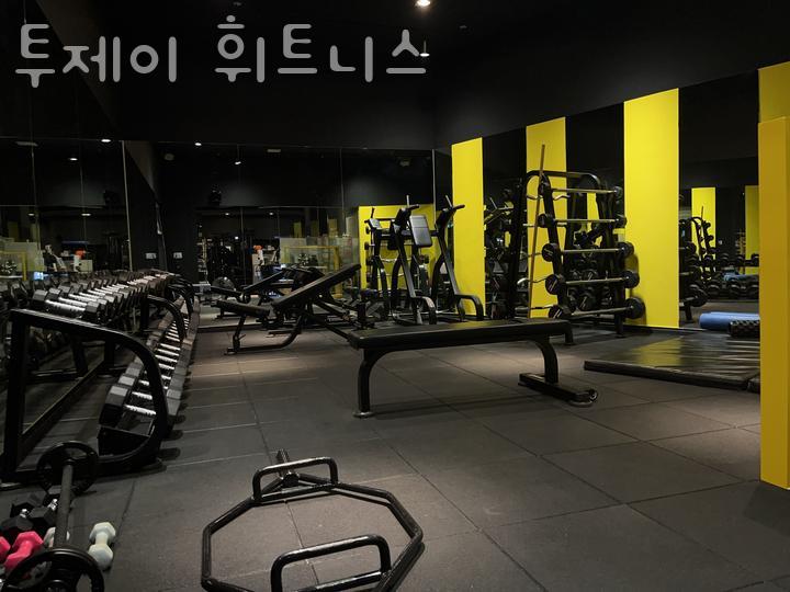 투제이 이미지