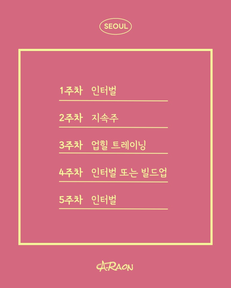 디투알 이미지