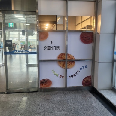 바오밥 이미지