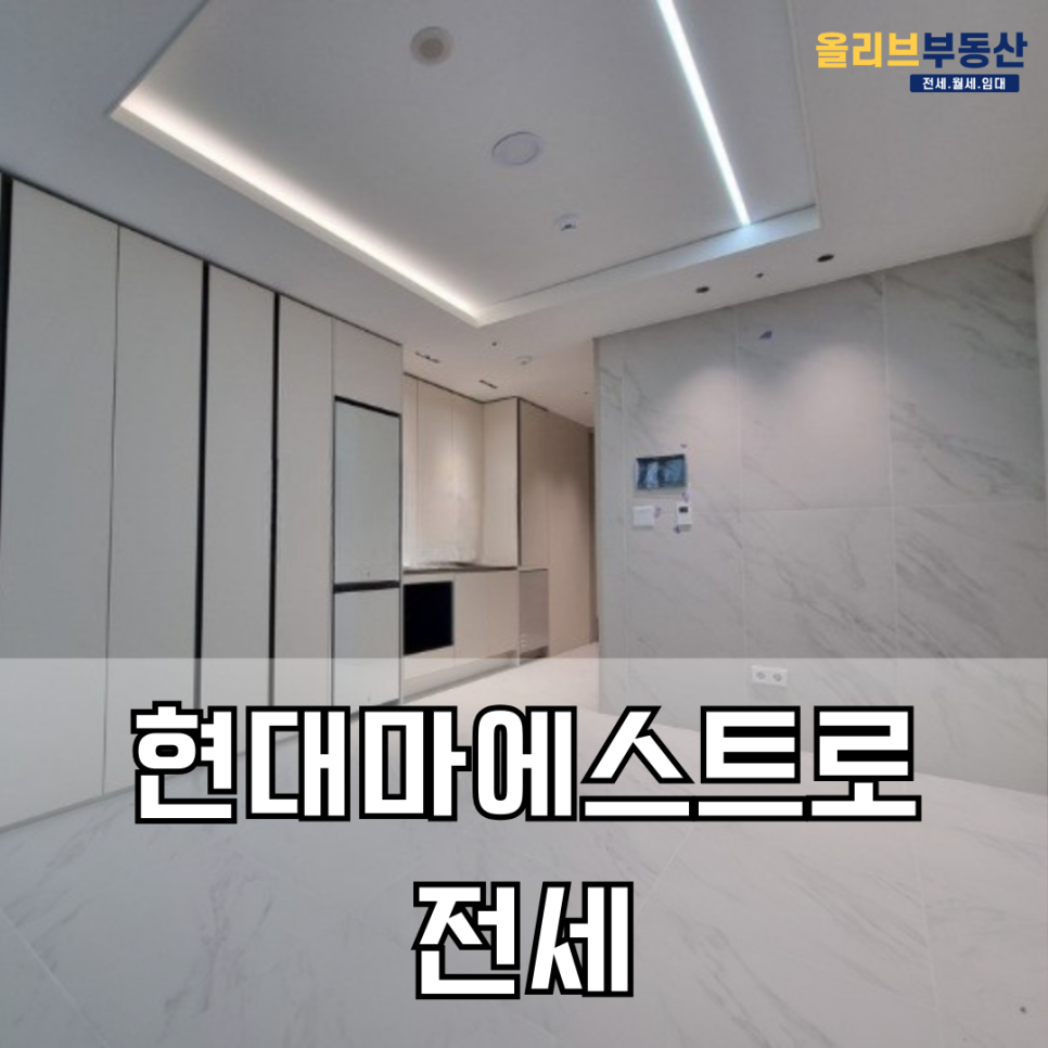 마에스트로현대 이미지