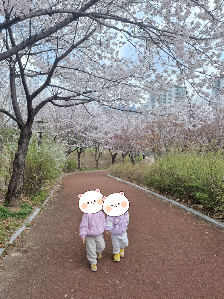 옥수당 이미지