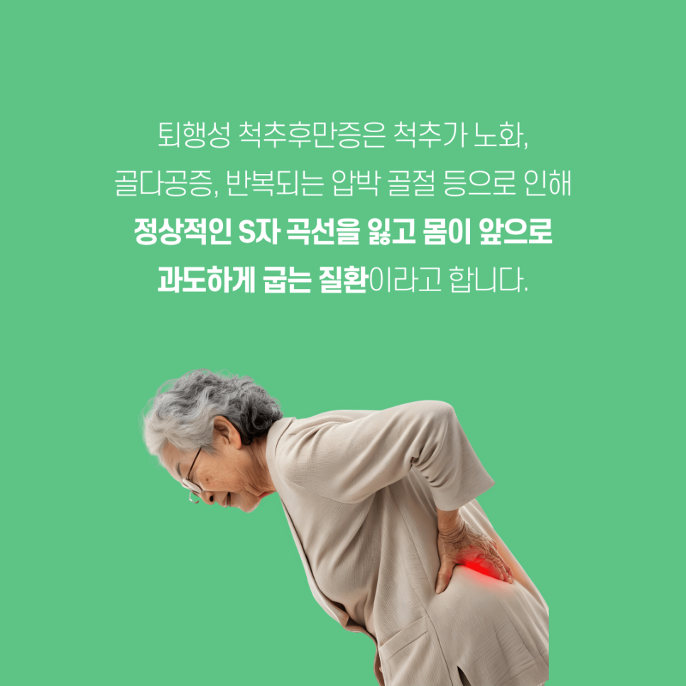 세일정형외과 이미지