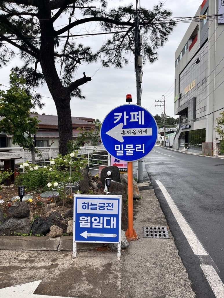 밀물리 이미지