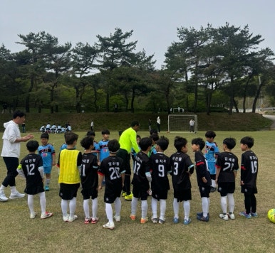 라이온즈스포츠클럽 이미지