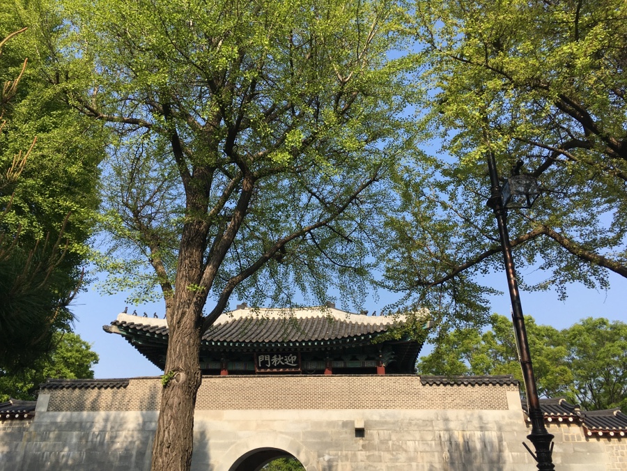 빈둥 이미지