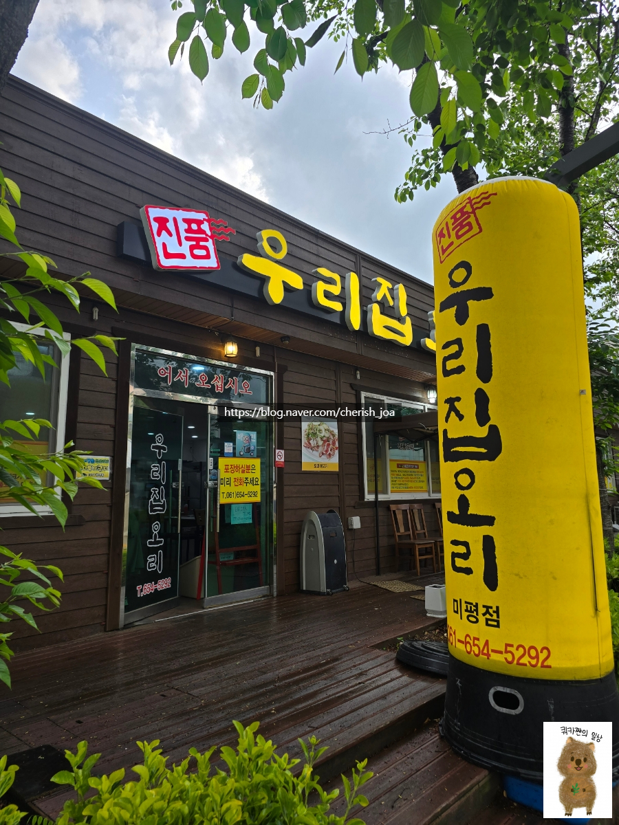 진품우리집오리 이미지