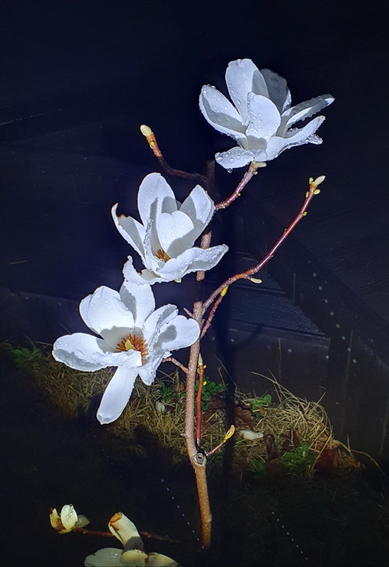레인기타학원 이미지