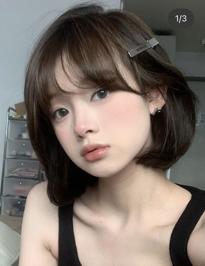 브라운필드 이미지