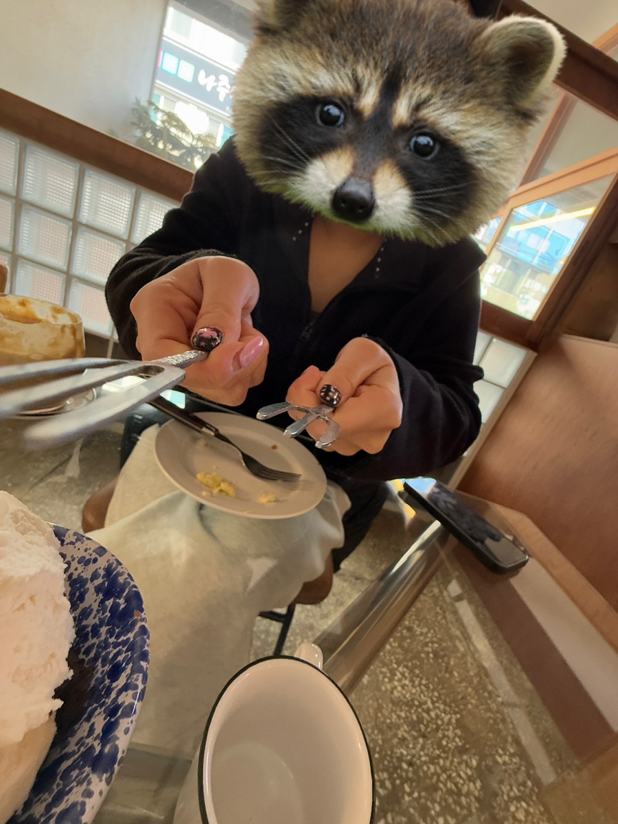 가림여행사 이미지