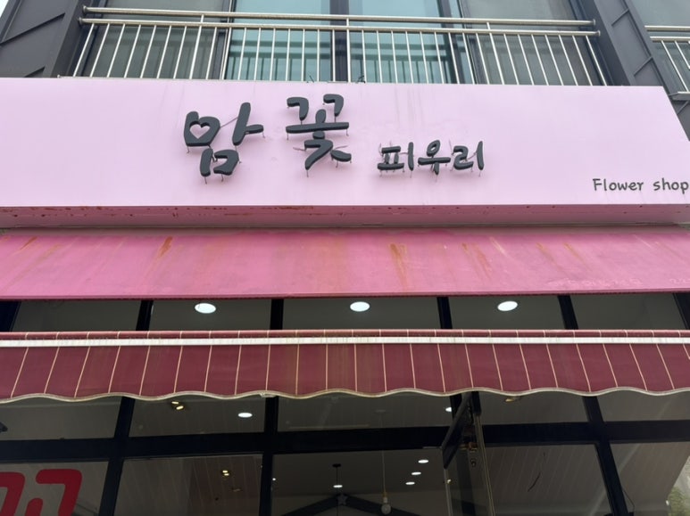 맘꽃 이미지