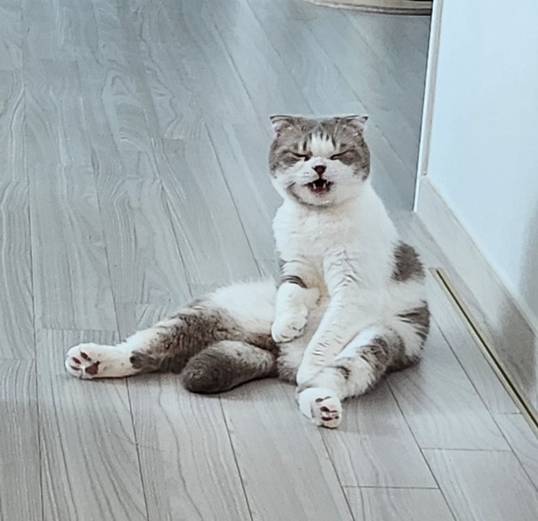호시노라멘 이미지