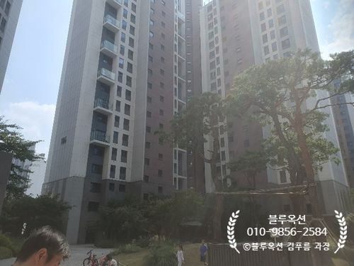 블루자이 이미지