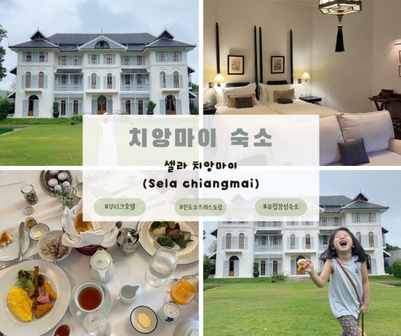 부띠끄셀라 이미지
