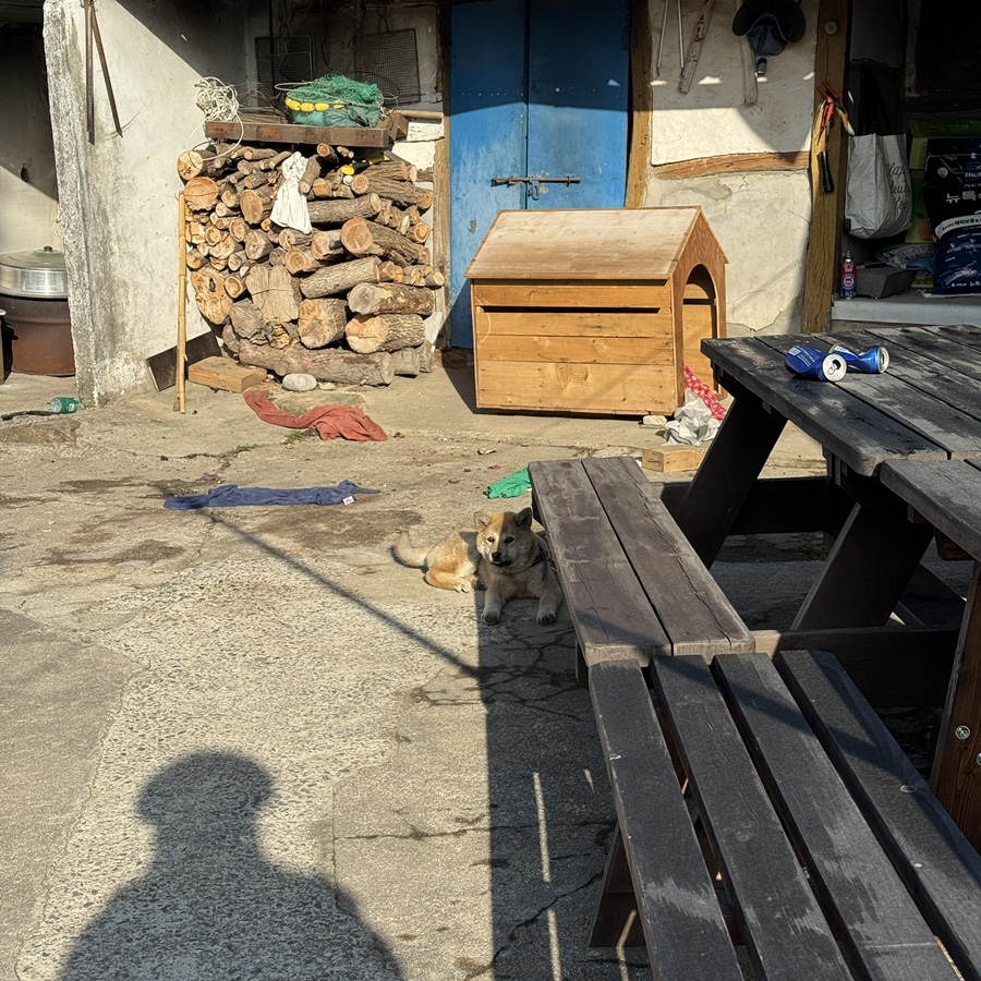 읍내맥주 이미지