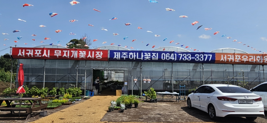 무지개화원 이미지