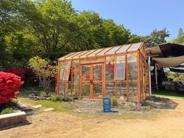 주연팜 이미지