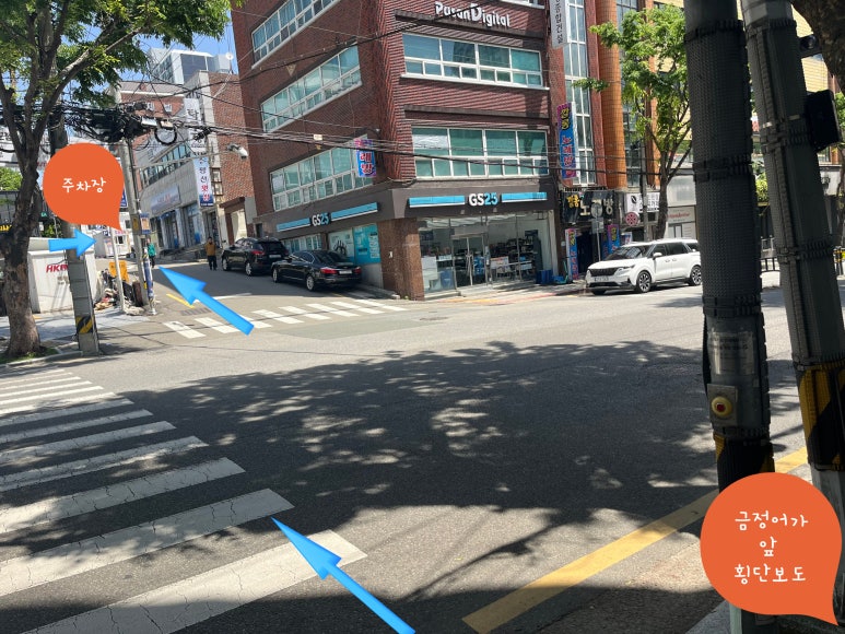 금정어가 이미지