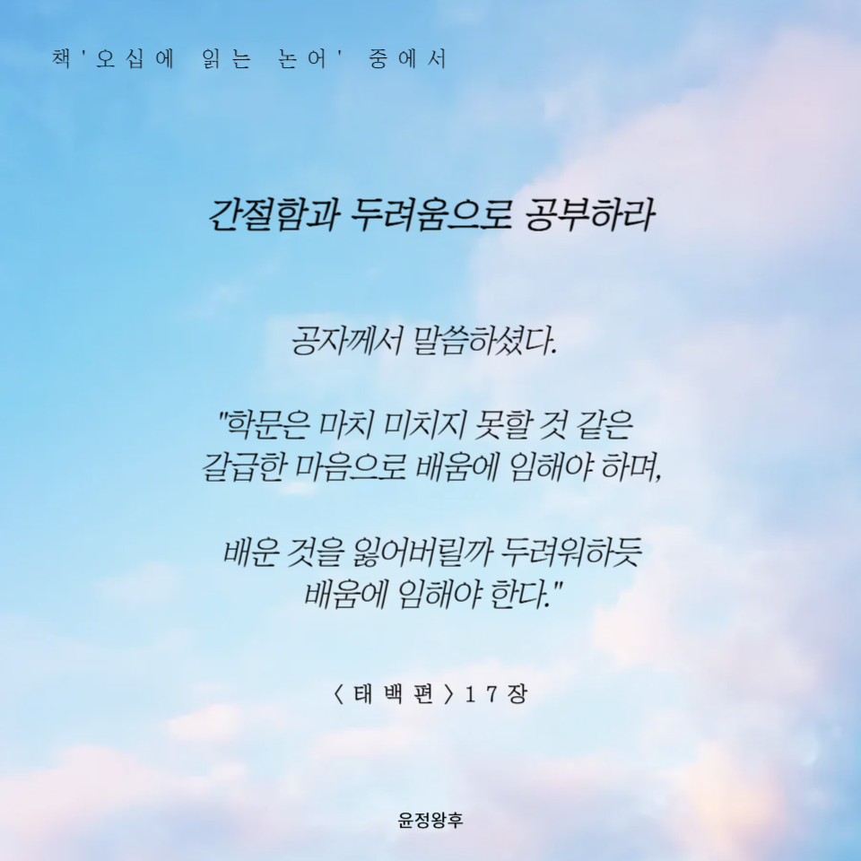 오십미리 이미지