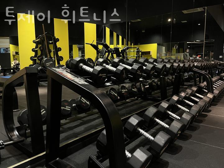 투제이 이미지
