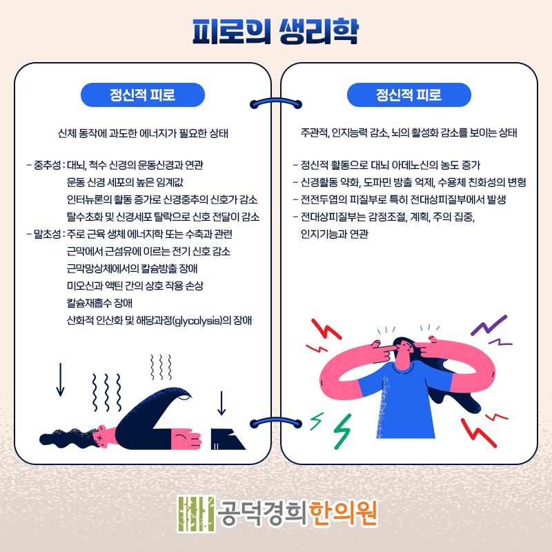 공덕경희한의원 이미지
