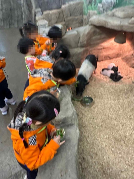 아이벅스 이미지