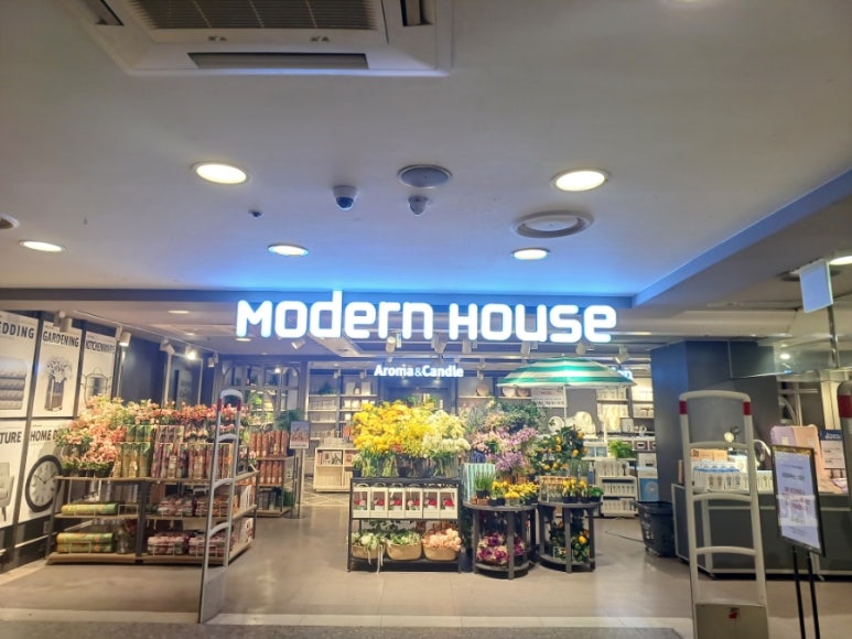 모던센스 이미지