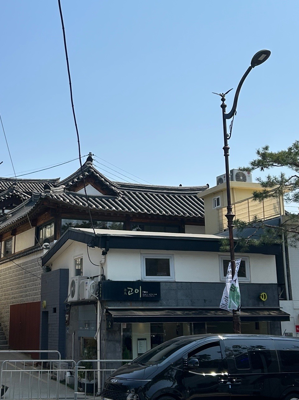 고이커피 이미지