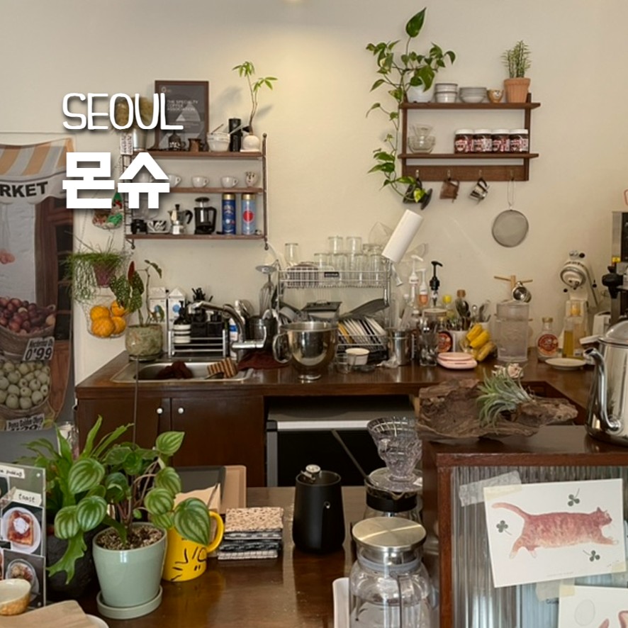 몬슈 이미지