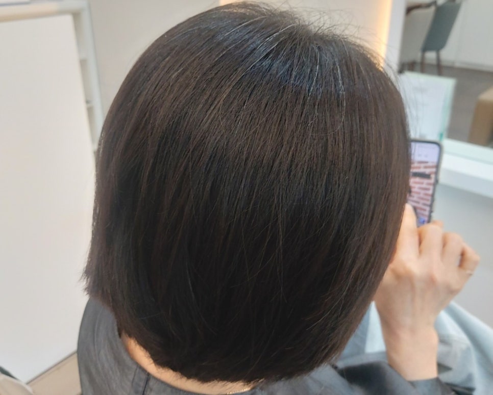보다봄 이미지