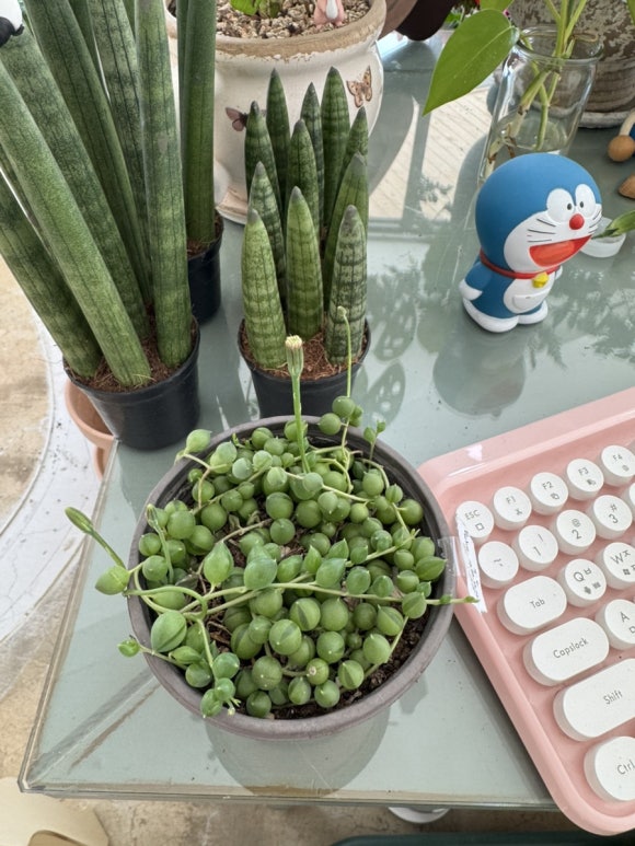 석산유통 이미지