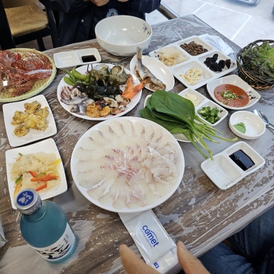 다온여행사 이미지
