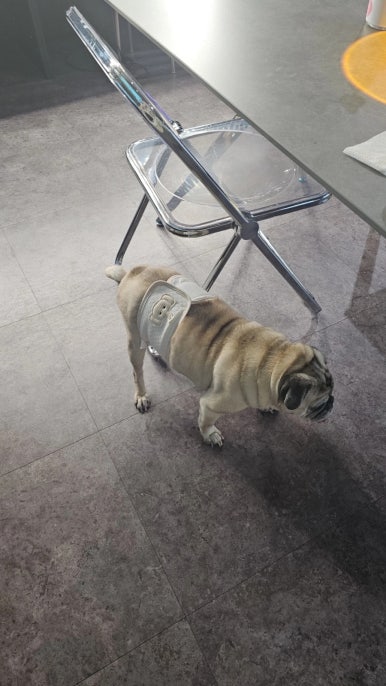 사진관;윤경 이미지