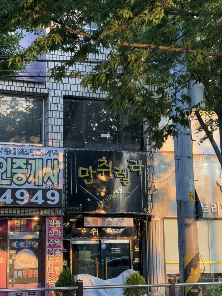 만취렐라 이미지