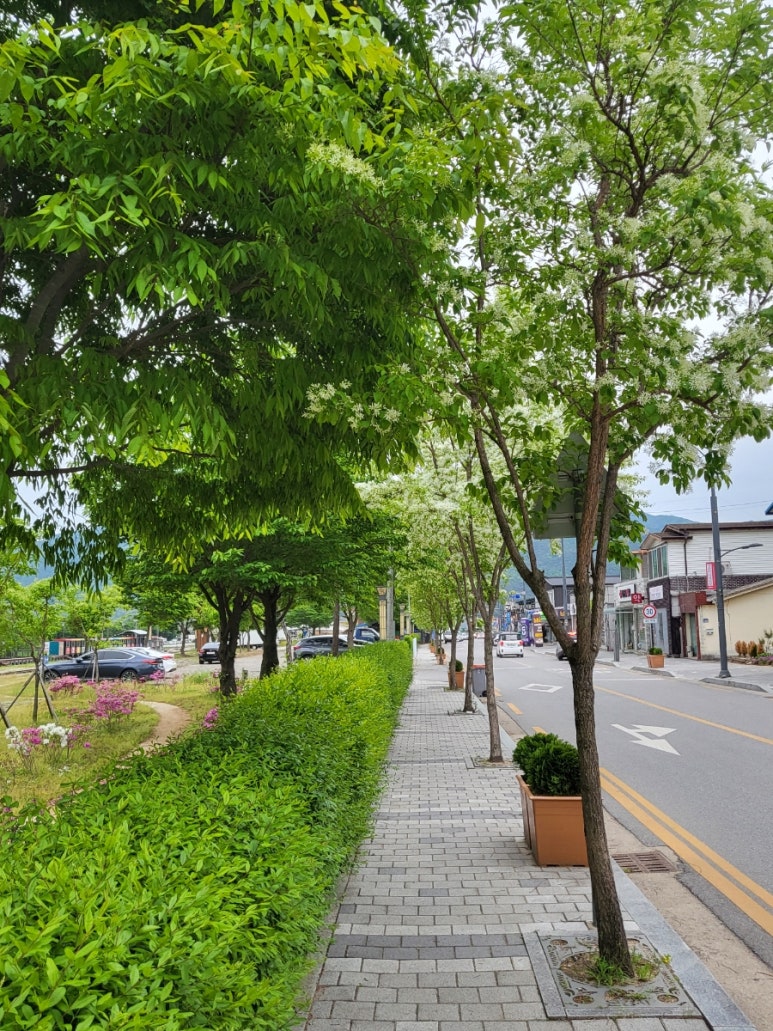 오복한식뷔페 이미지