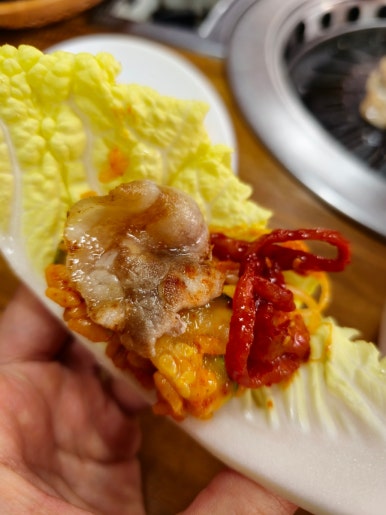 고향토종흑돼지 이미지