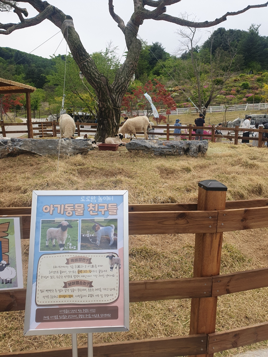 새곳처럼 이미지