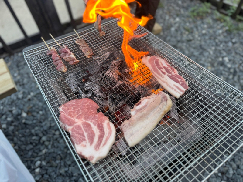 네덜란드풍차마을펜션 이미지