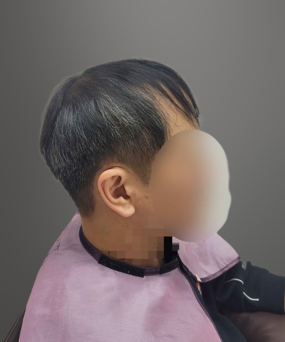 리썸위그 이미지