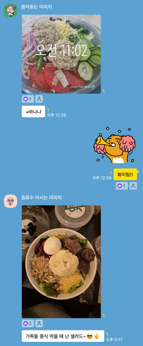 피티다움 이미지