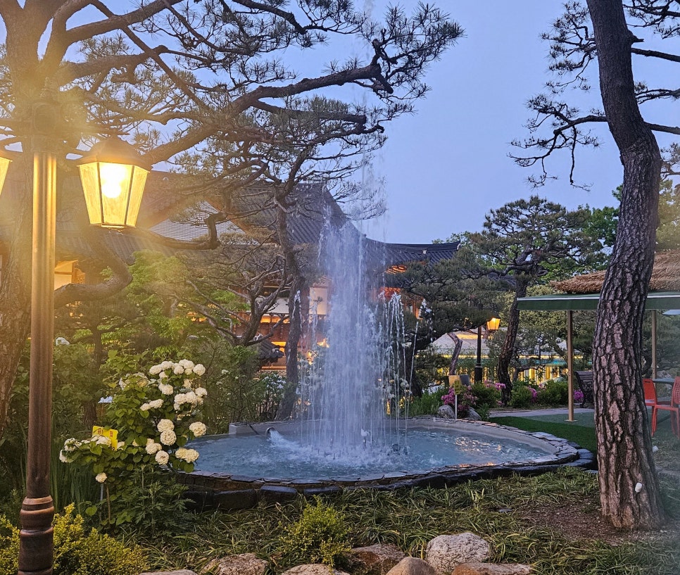 달삼 이미지