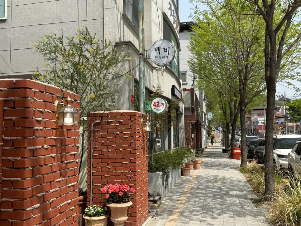 백비티클래식 이미지