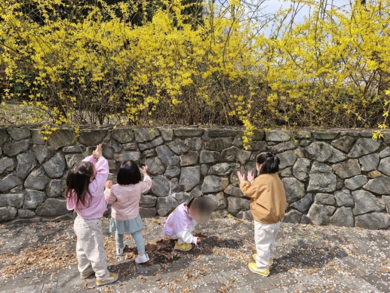 옥수당 이미지