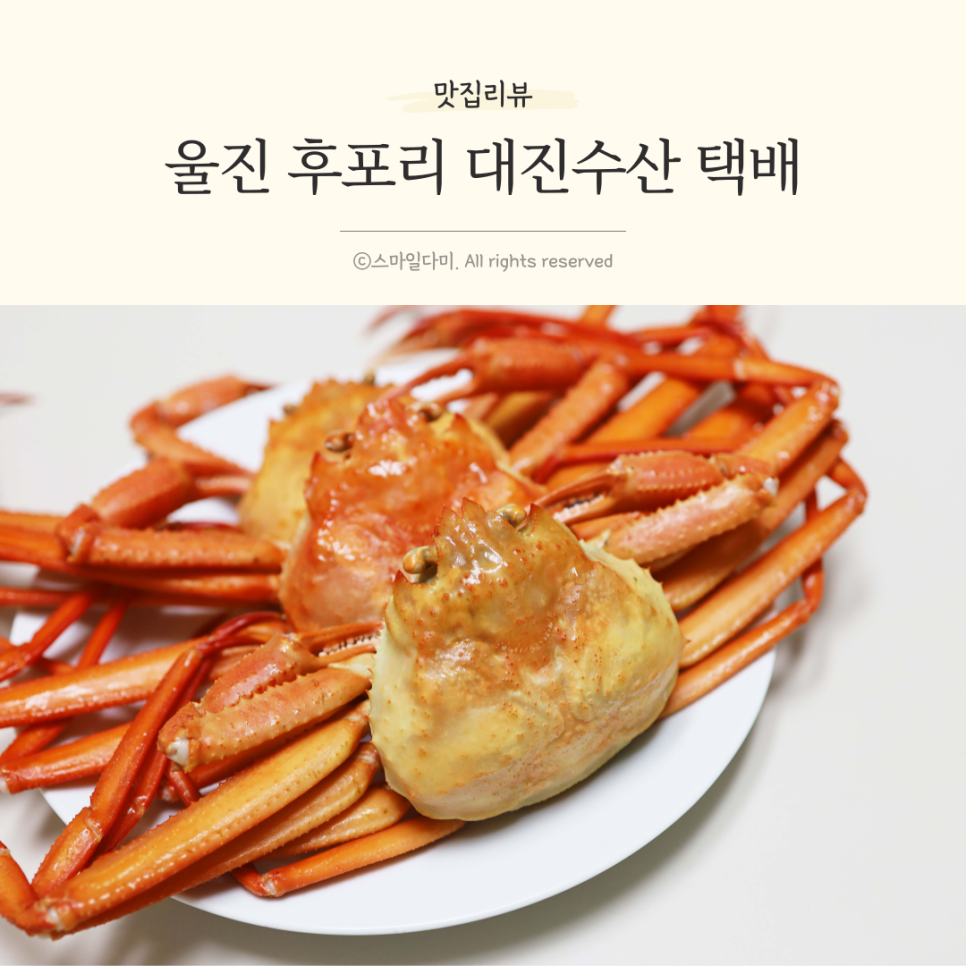 대진수산 이미지