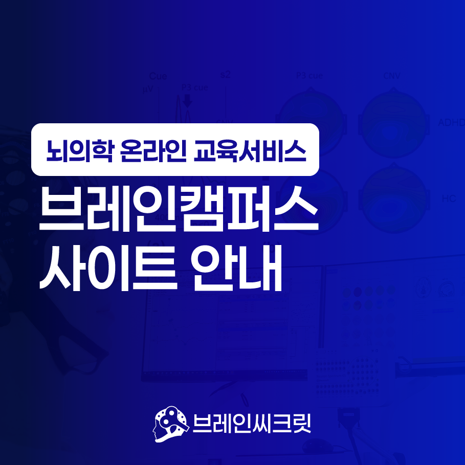 K브레인교육 이미지